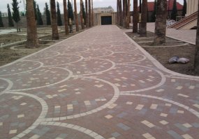 o_19ifkh31ipd81m7hsau1pca9pe2d.jpg